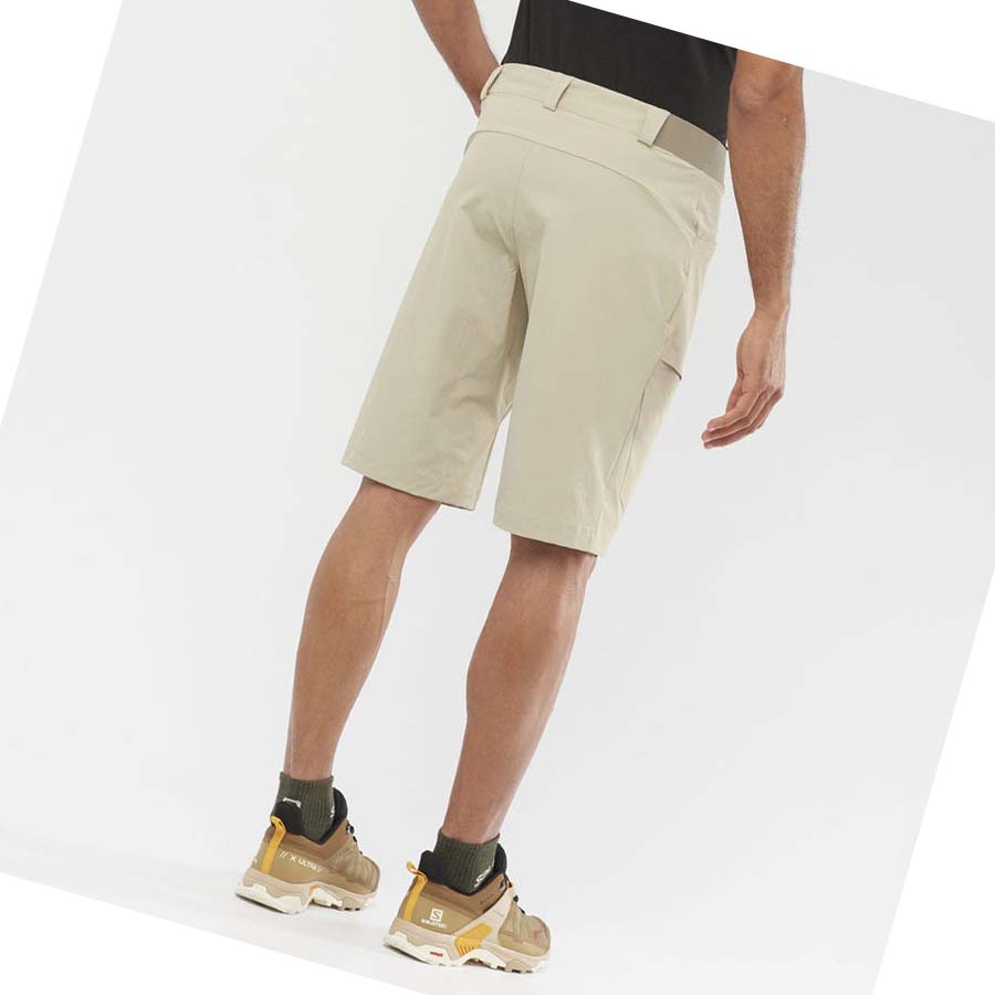 Bermudas Salomon WAYFARER Hombre Beige | MX 3147NWY